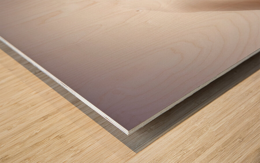 Sun Light Wood print