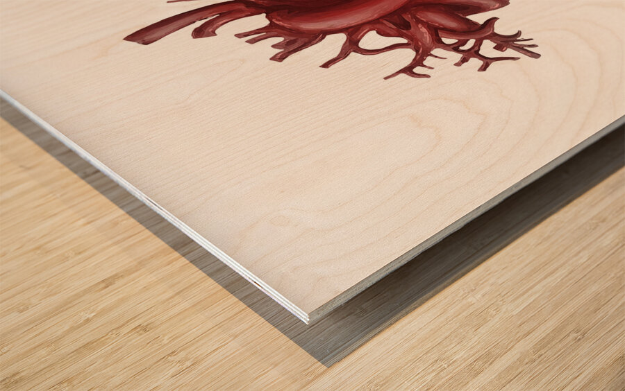 Human heart medical diagram isolated on white Wood print