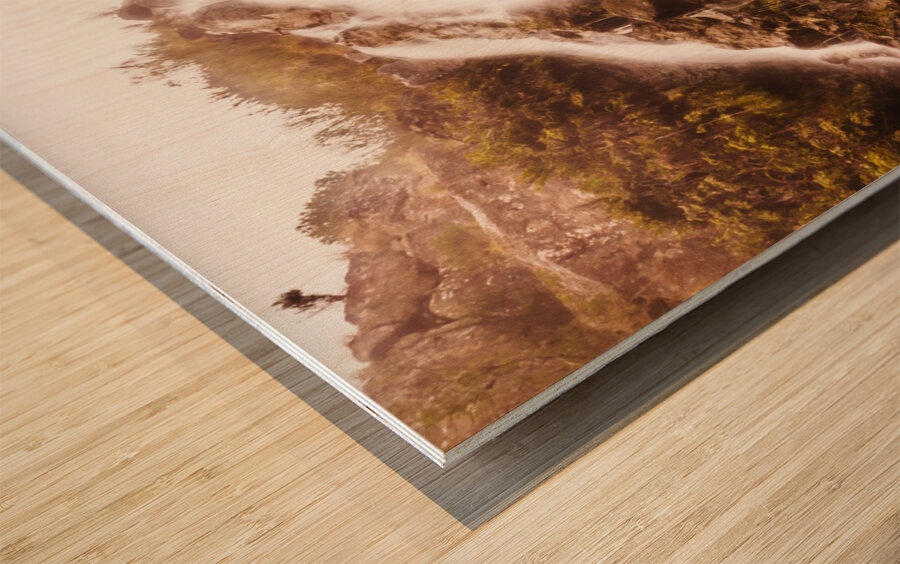 Waratah wild waterfall Wood print