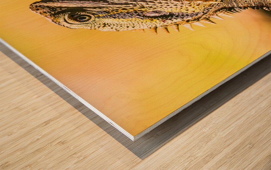 A predators portrait Wood print