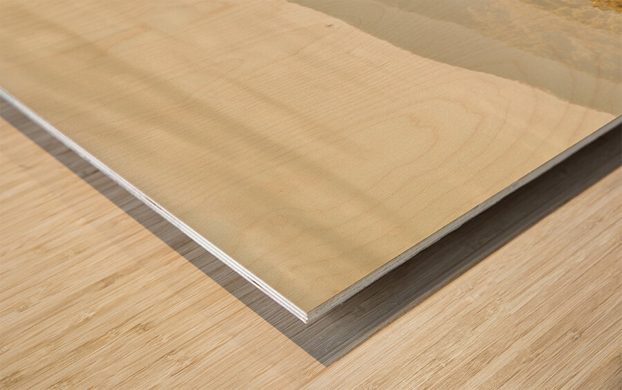 Hills trees and pastel browns Wood print