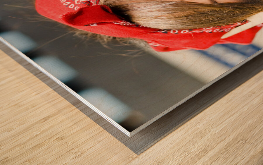 Crazy About House Work Wood print