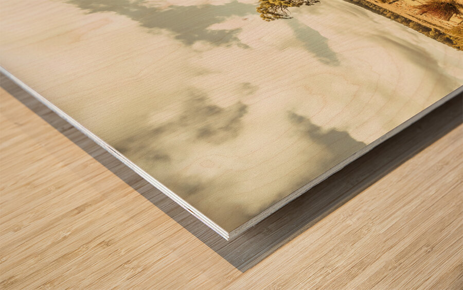 Peaceful country plains Wood print