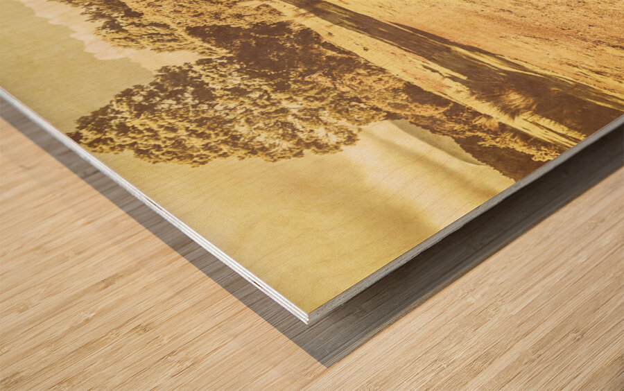 Old farming landscape Wood print