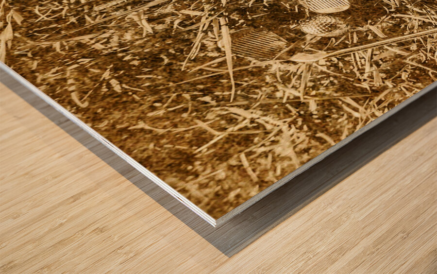 The art of golf Wood print