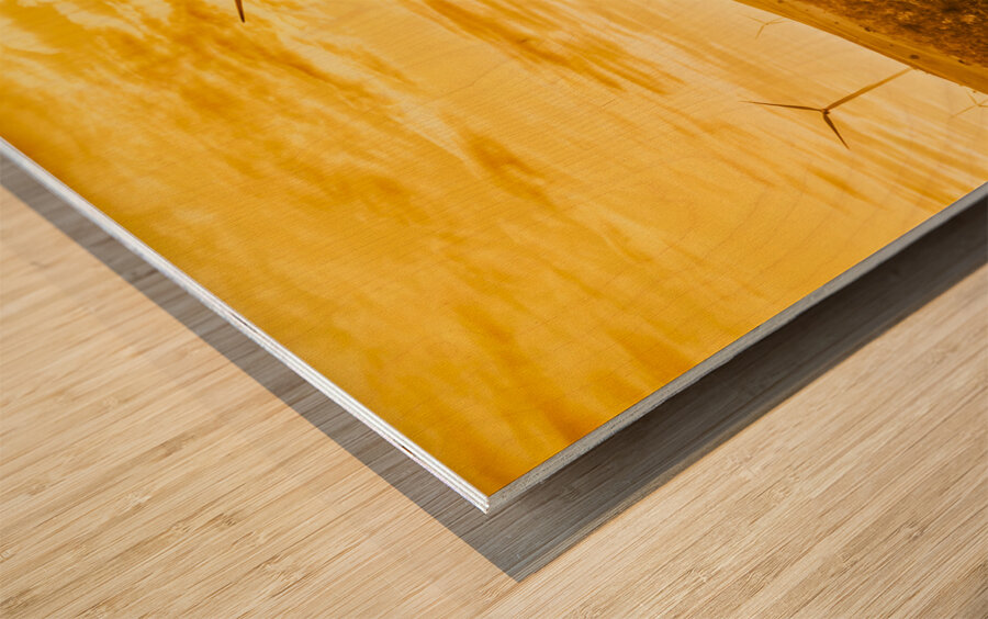 Musselroe Wind Farm Wood print