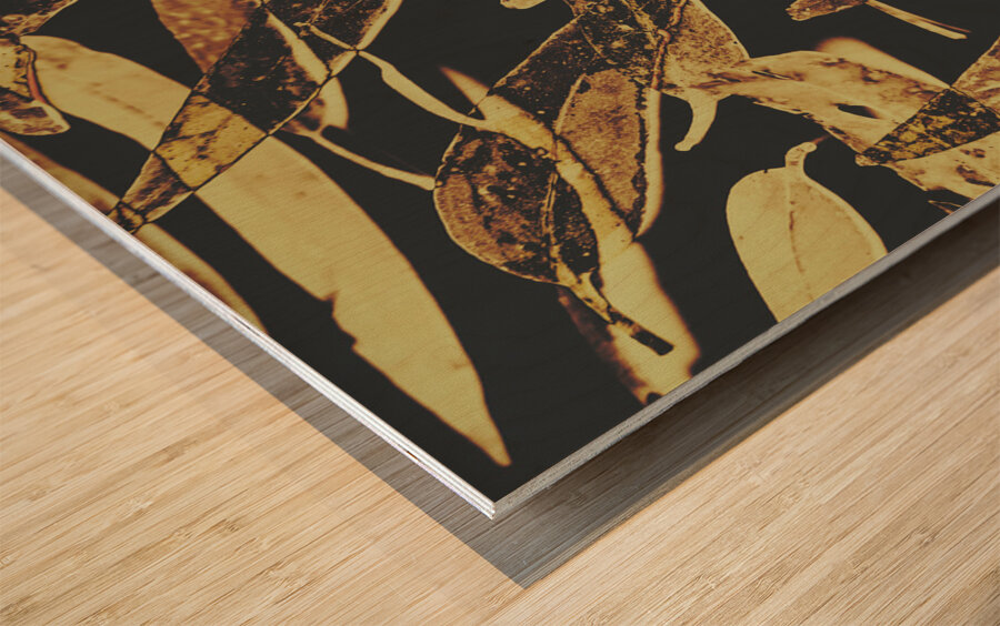 Sepia toned image of floating eucalyptus leaves Wood print