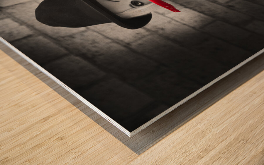 Caught Red Handed With A Soft Clue Wood print