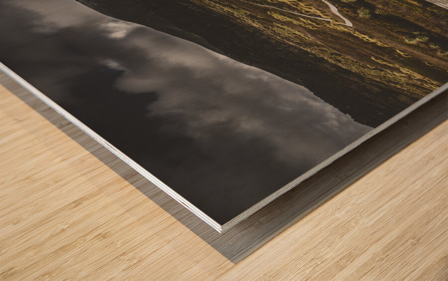 Hiking trail leading to distant Australia bushland Wood print