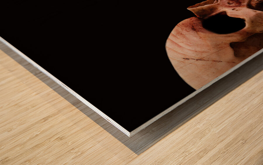 Scary Skull Wood print