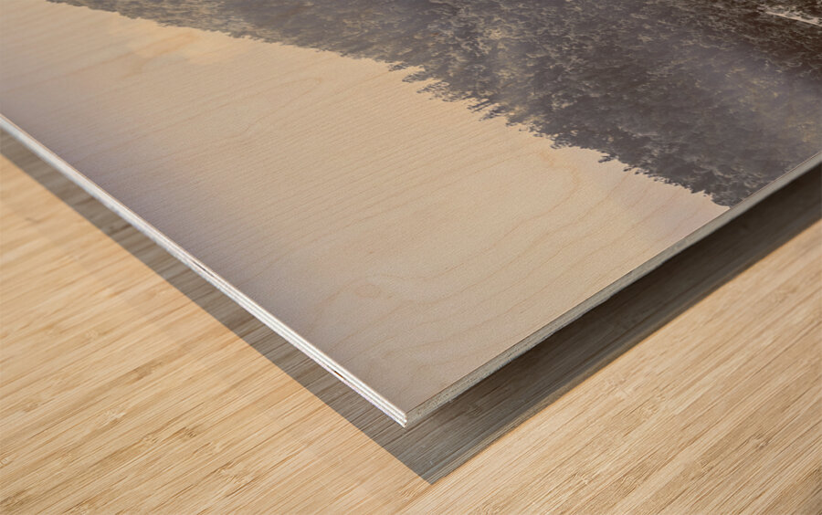 Sun lit serenity Wood print