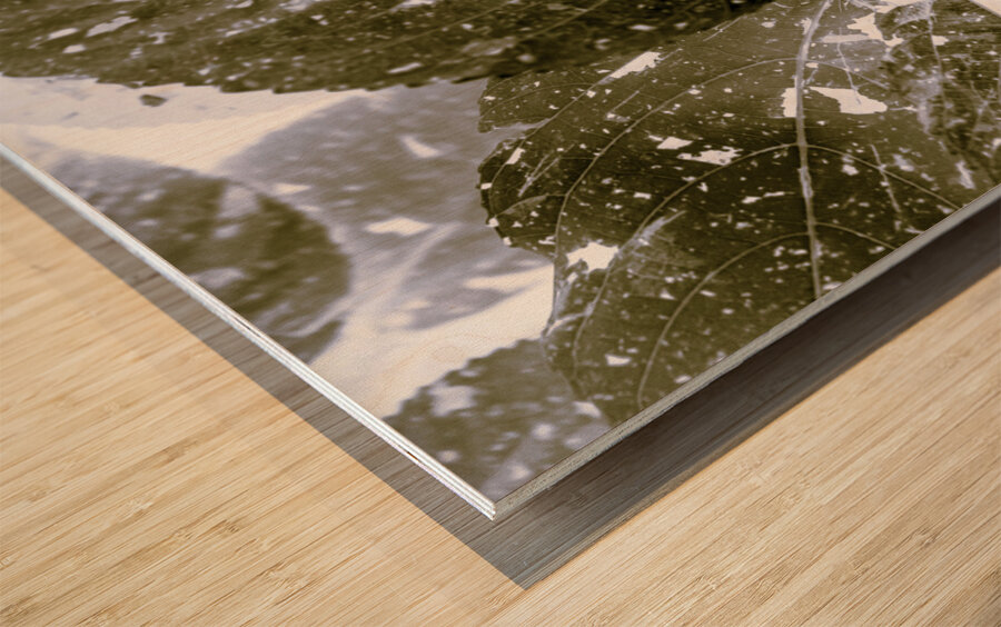 Spectral  Wood print