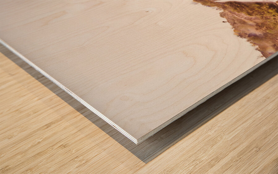 Rocky water wilderness Wood print