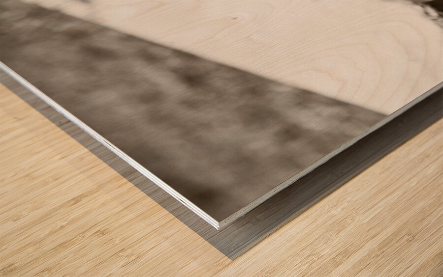 Vintage cricket Wood print