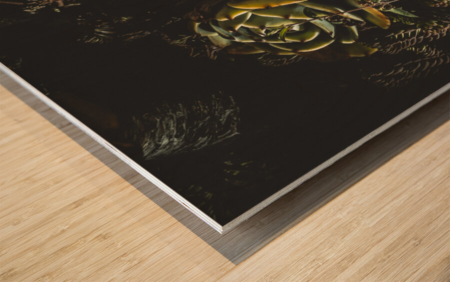 In dark bloom Wood print