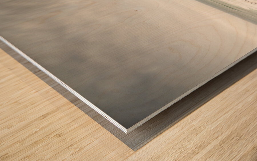 Rugged western oceans Wood print