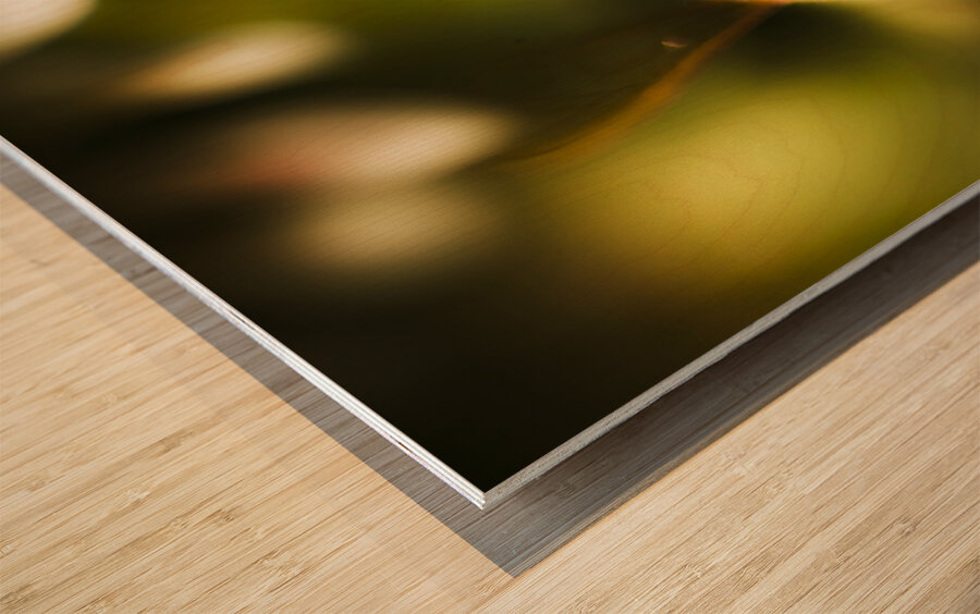 Fauna And Flora Meet Wood print