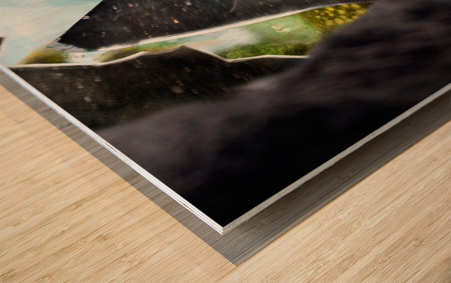 Mysterious jester found wonderland in a reflection Wood print