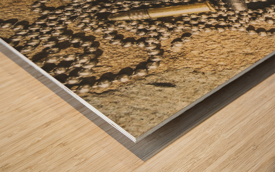 Reflections of battle Wood print