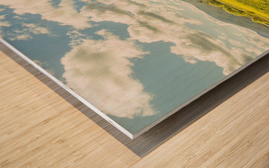 Farmland colour Wood print