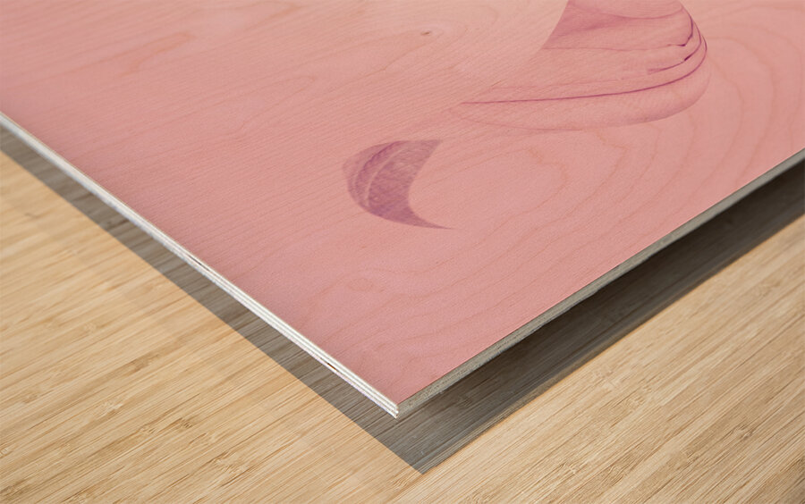 Beautiful retro girl in pink 1950 pinup fashion Wood print