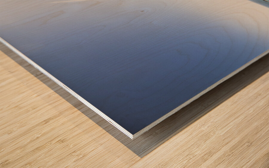 Windy meadows Wood print