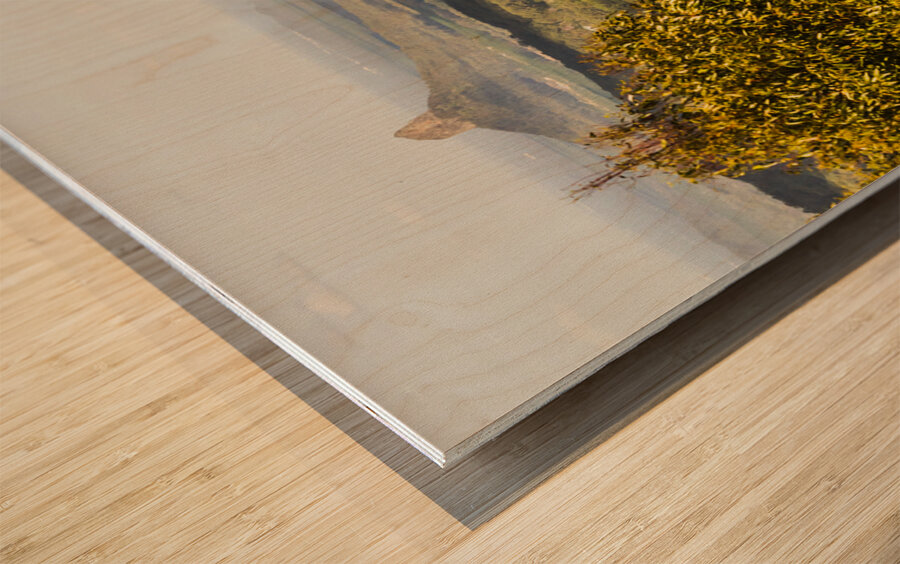 Majestic Maleny and beyond Wood print