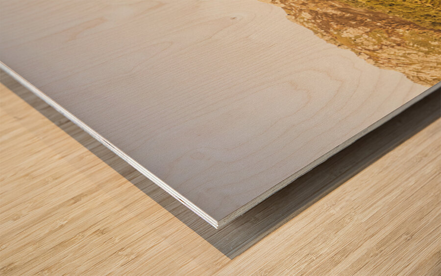 Treepanning Wood print