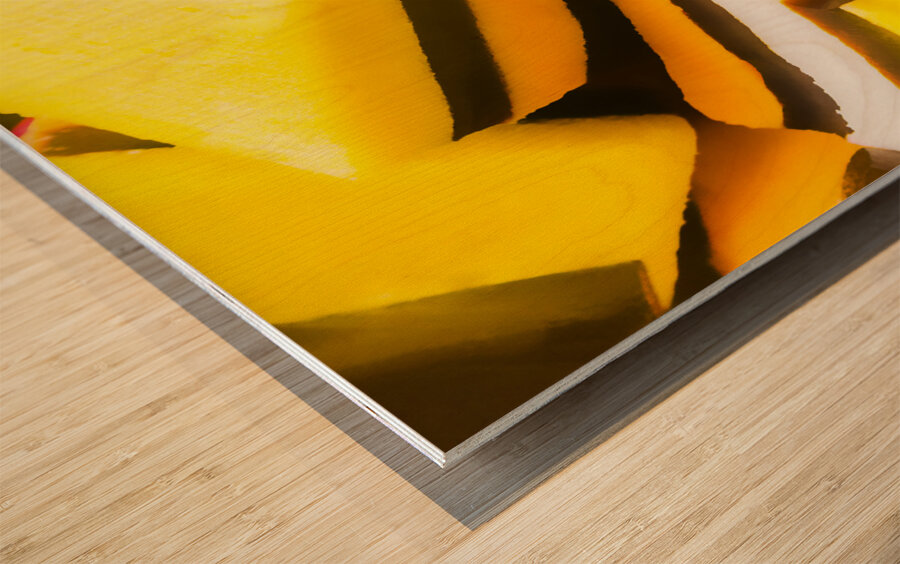 Sugar cubes Wood print