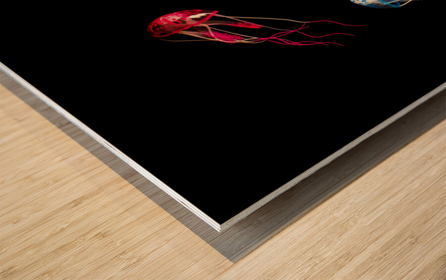 In colours of swirling jellyfishes  Wood print