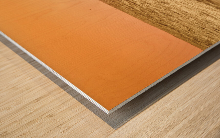 Sun soaked sea Wood print