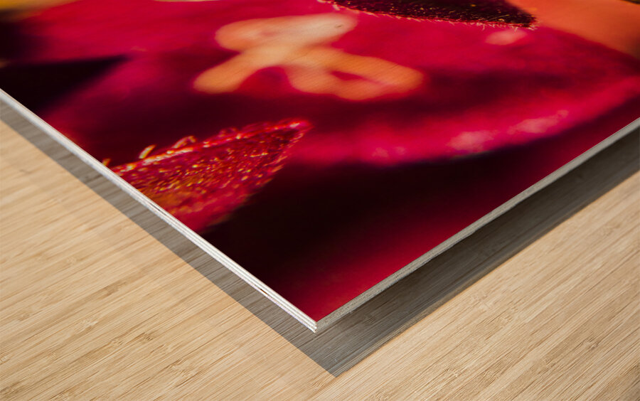 Wildlife wilderness Wood print