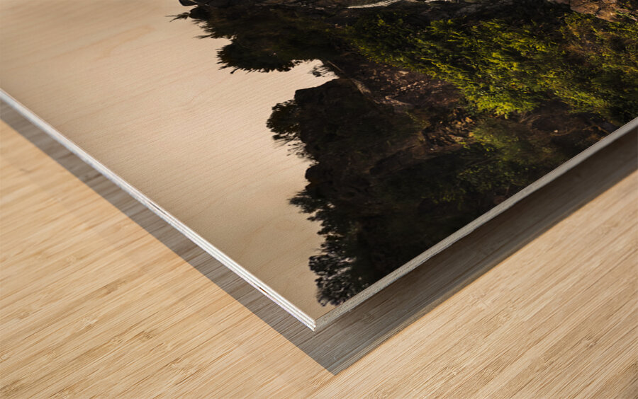 Tasmanian waterfalls in Waratah Australia Wood print