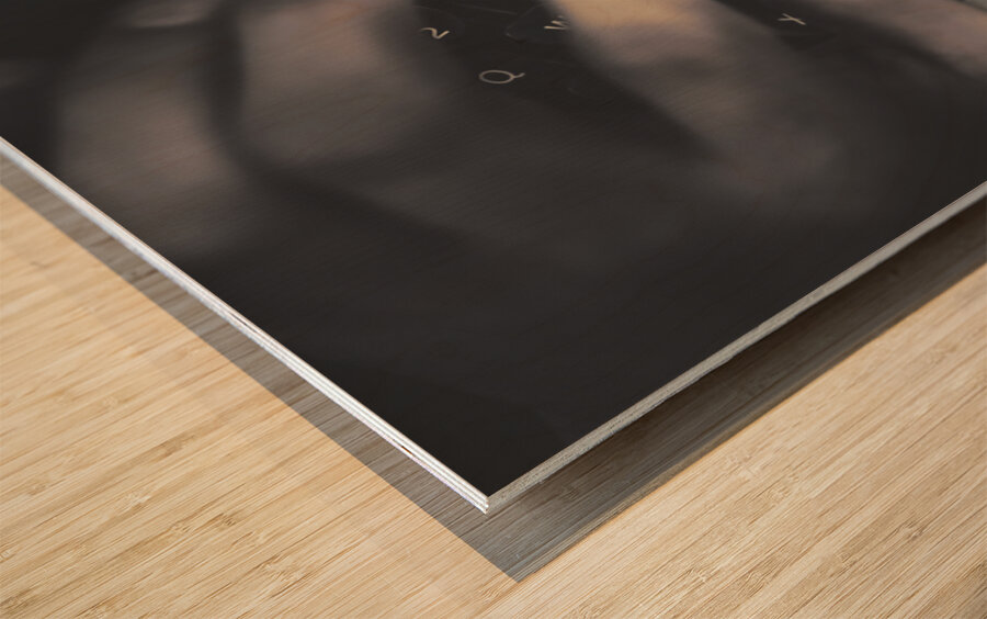 The mystery writer Wood print