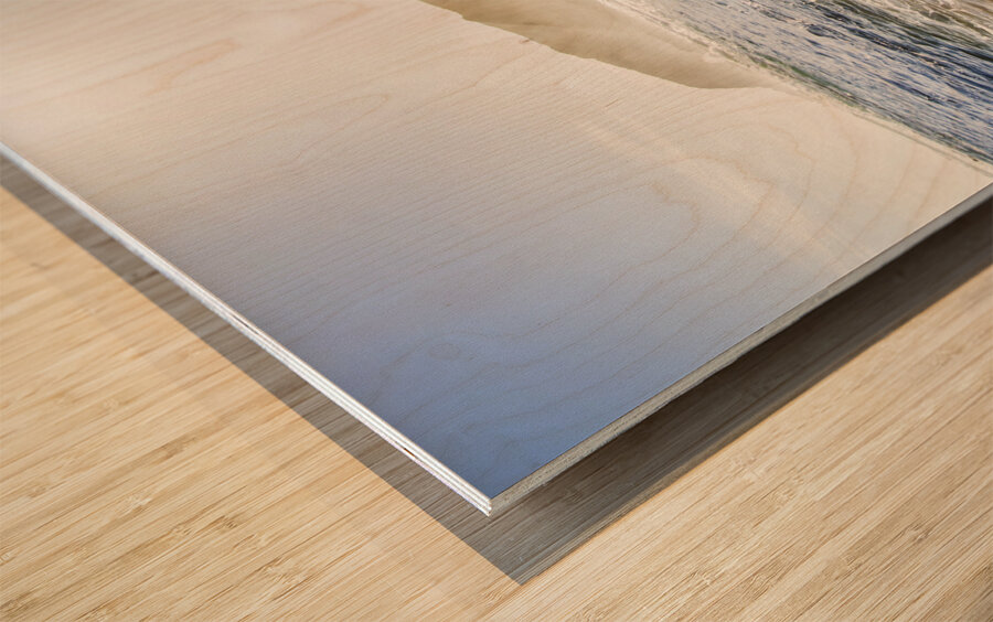 Beach fine art Wood print