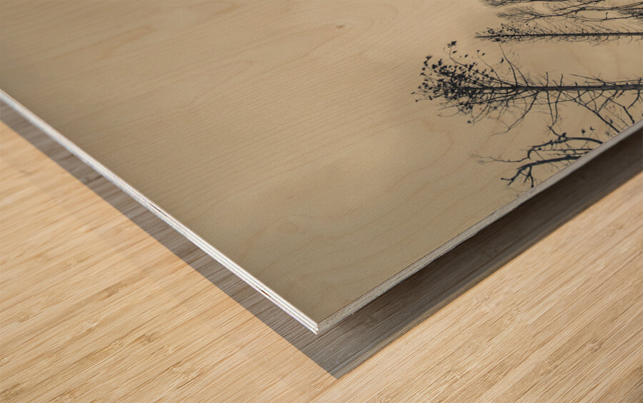 Grey winds bellow  Wood print