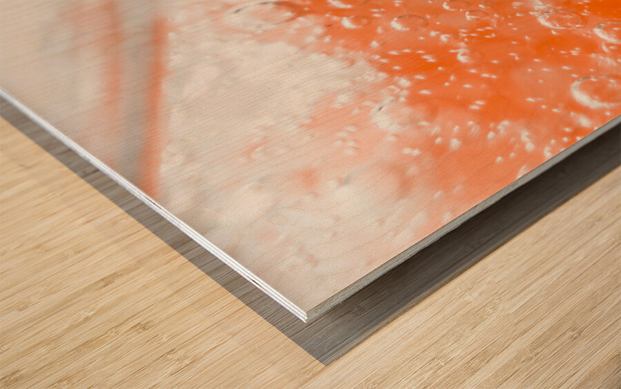 Orange martini cocktail Wood print