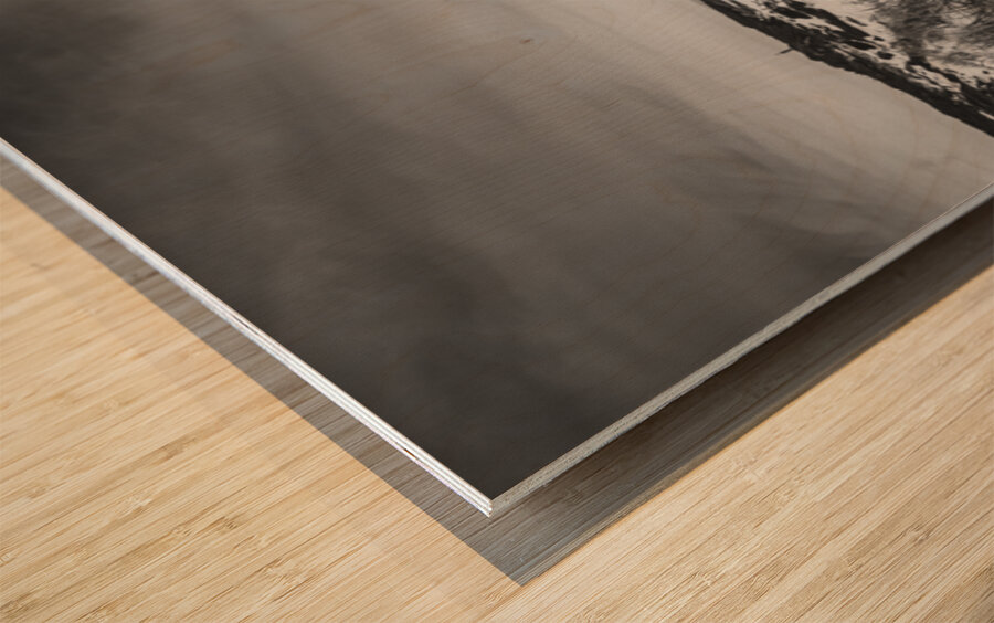 Dramatic sea dunes Wood print