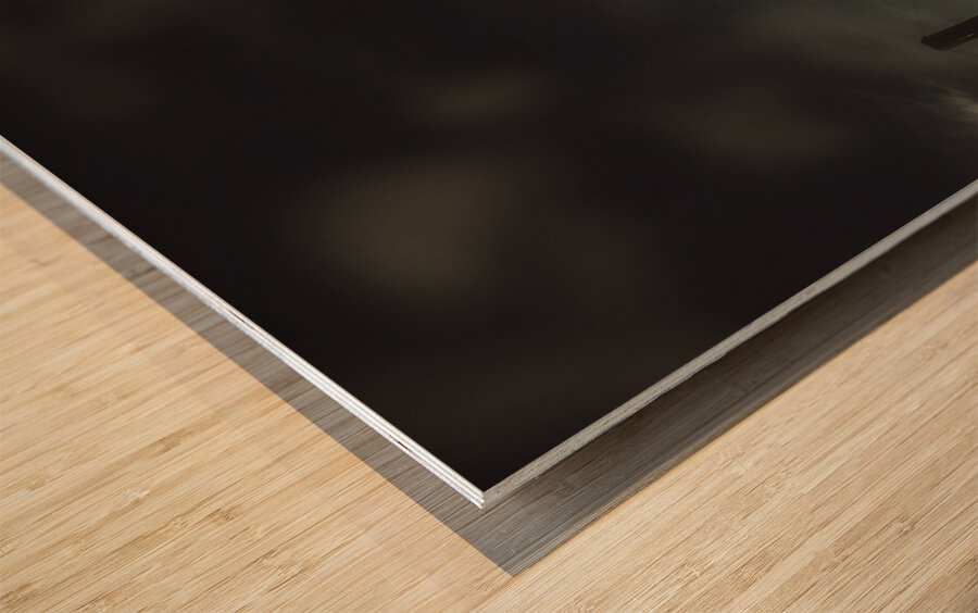 Spooky old abandoned house in dark forest Wood print