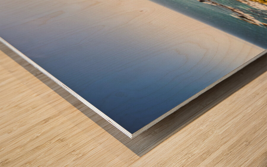 Windswept Tasmania Wood print