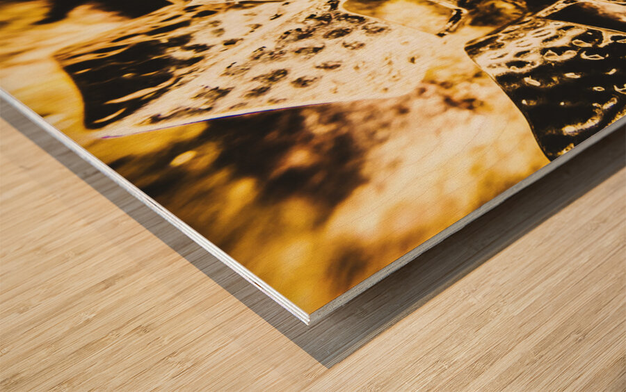 Legion of history Wood print