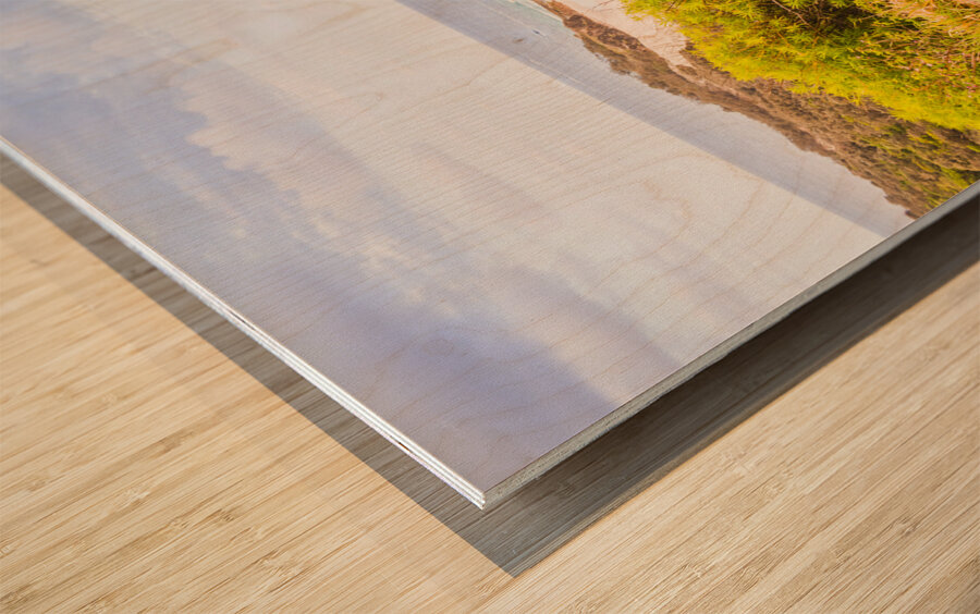 Hooroo from Australia Wood print