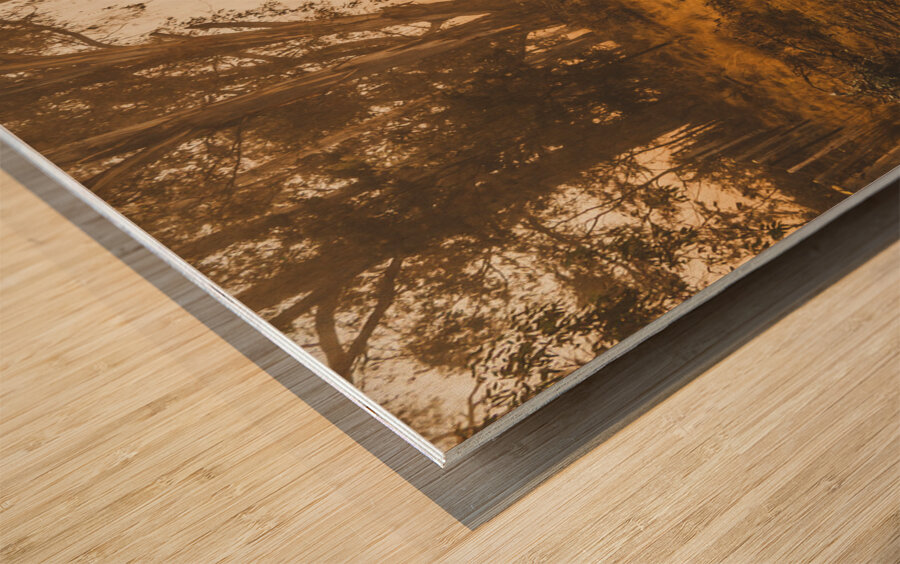 Mysterious autumn trail Wood print