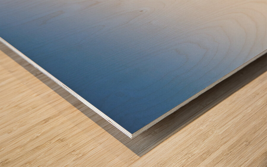 Beacon Cove Wood print