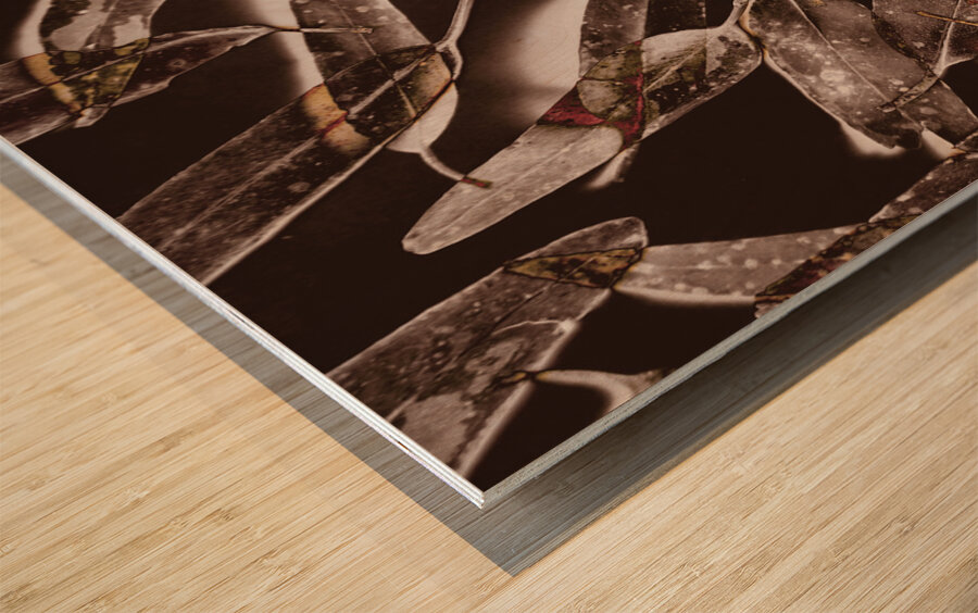 Nature in design Wood print