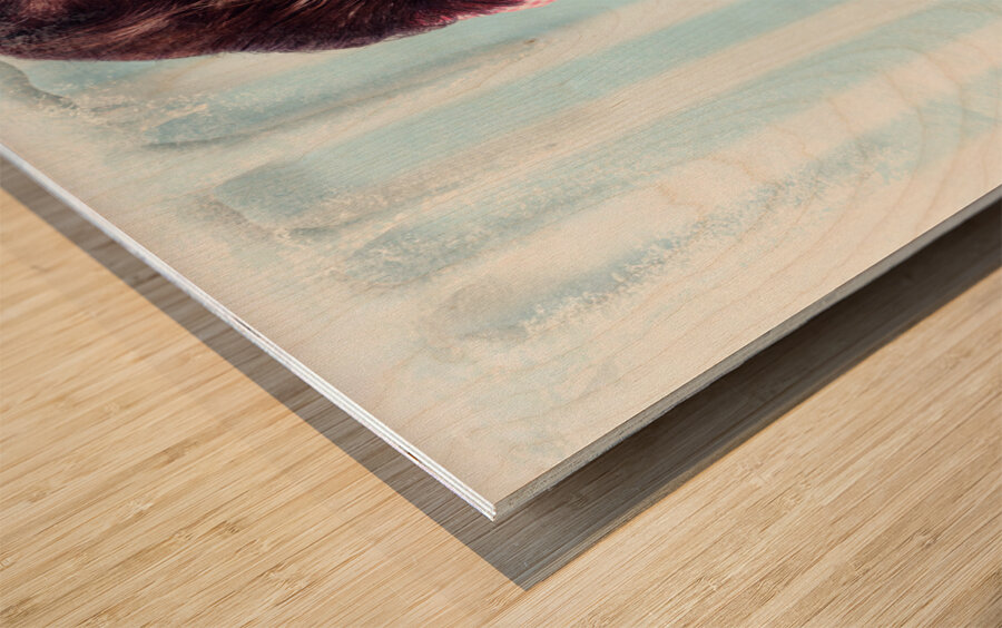 Cool pin-up woman in cold freezer with ice-cream Wood print