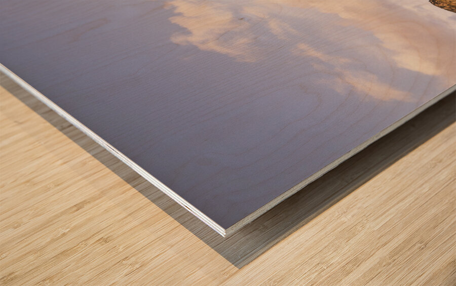 Western wilds Wood print