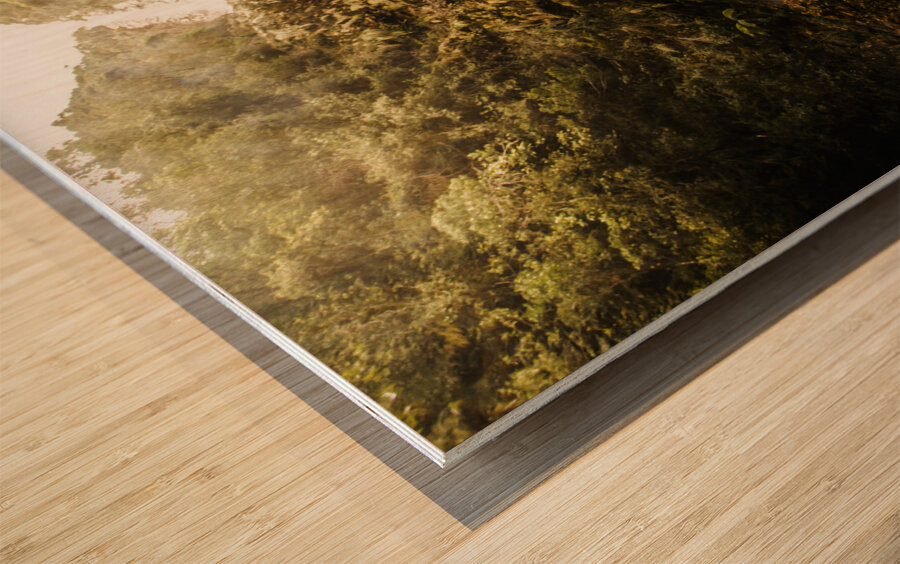 Montezuma Falls Tasmania Wood print