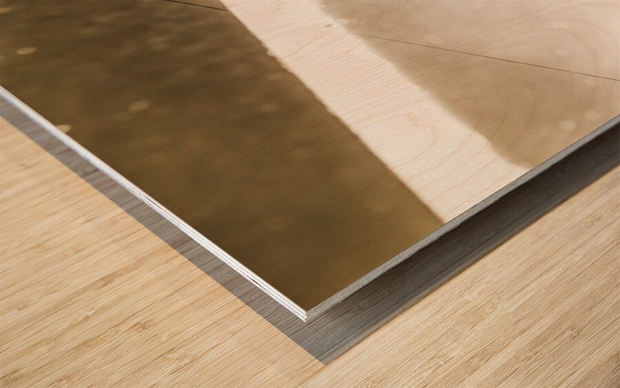 Windows and mountains Wood print