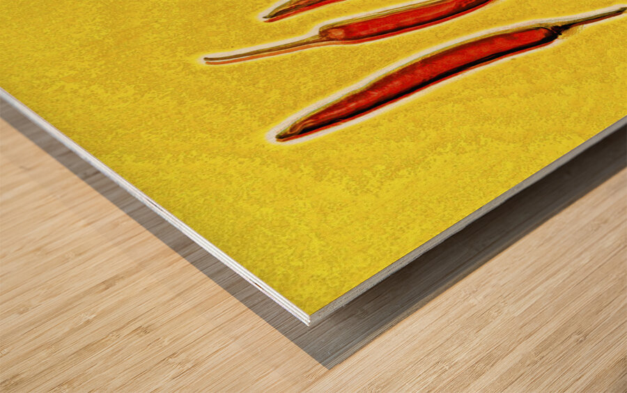 Hotlucination  Wood print